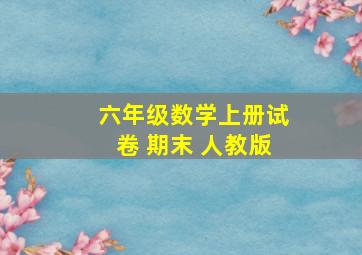 六年级数学上册试卷 期末 人教版